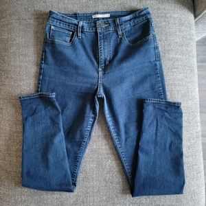 ARITZIA x Levi's | 721 High-rise Skinny Women's Jeans sz 29